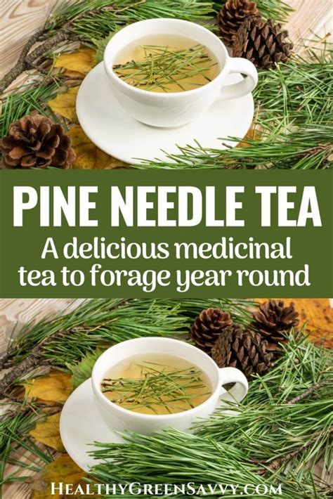 White Pine Needle Tea Recipe and White Pine Remedies .